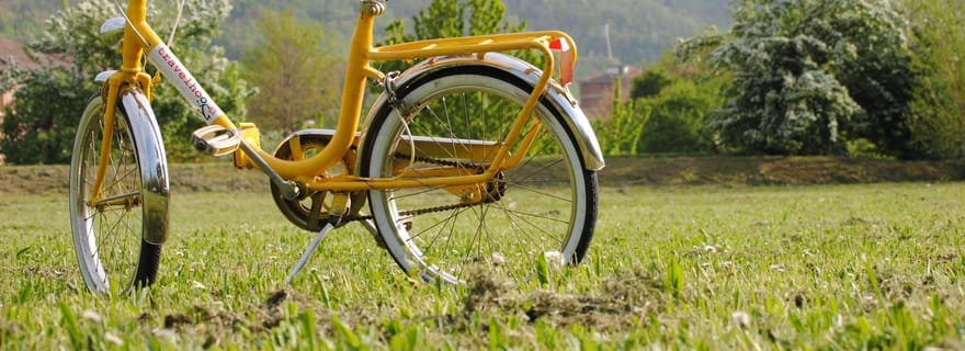 Bologne : visite panoramique à vélo