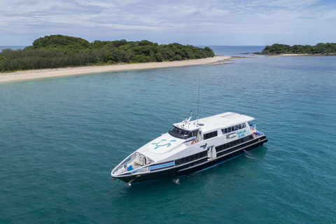 Cairns: Snorkel & Dive a Secluded Great Barrier Reef Island Fully Inclusive Tour with Tropical Buffet Lunch