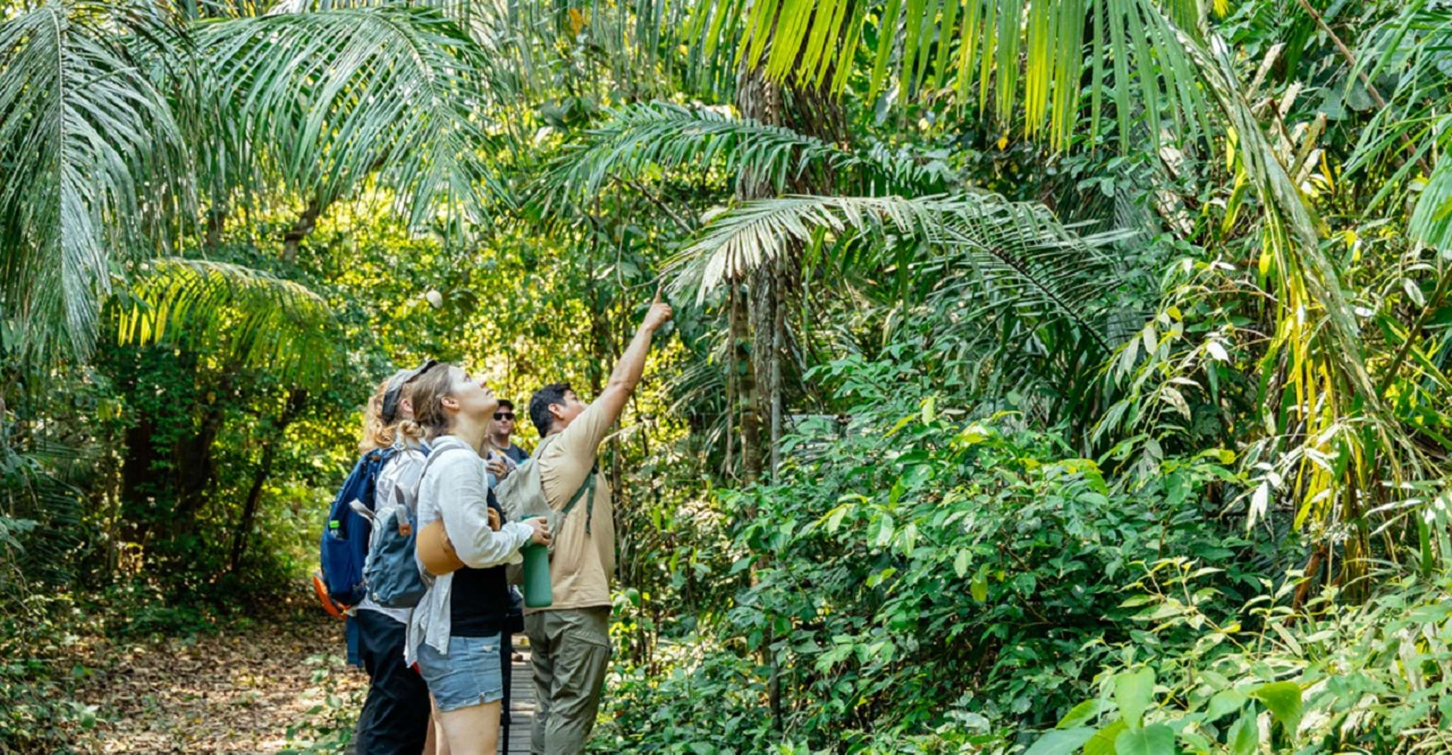 Passeios personalizados, Tambopata Aventura Rainforest 4D/3N - Hizvo