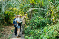 Touren personalizados, Tambopata Abenteuer Regenwald 4D/3N - Hizvo