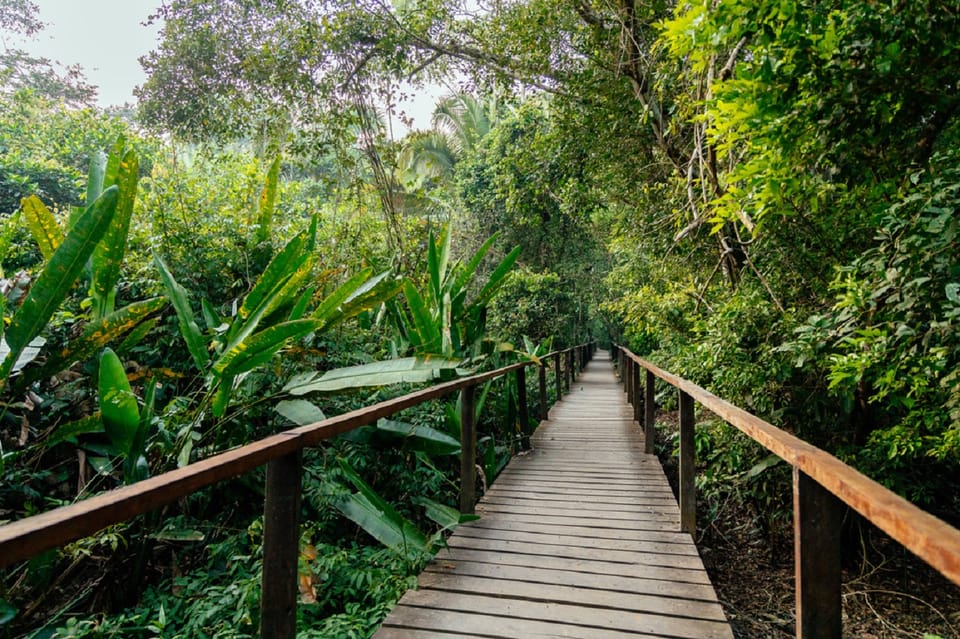 Passeios personalizados, Tambopata Aventura Rainforest 4D/3N - Hizvo