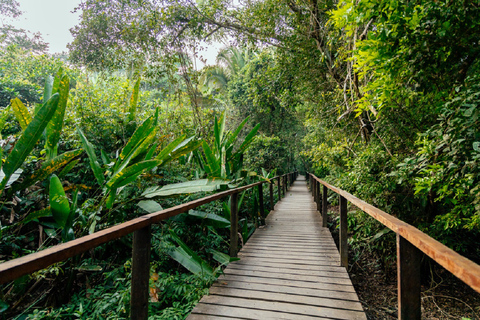 Tours personalizados: Aventura en la Selva Tambopata 4D/3NTours personalizados: Tambopata Aventura Selva 4D/3N