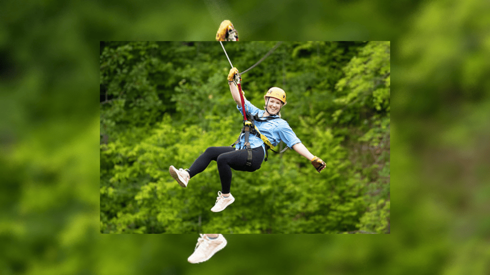 Rainforest Ziplining Adventure | GetYourGuide