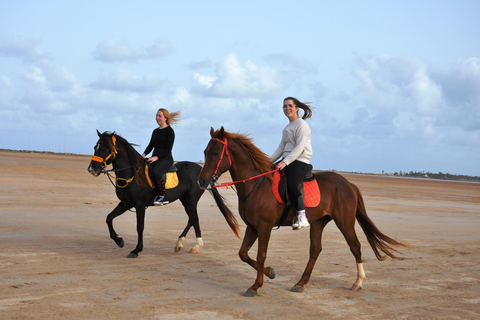 DJERBA : Paseo a caballo privado (2h).