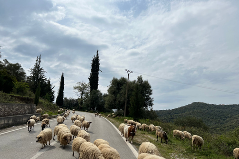 Excursión de 3 días por el Sur- Gjirokastra, Ojo Azul, HimaraExcursión de 3 días desde Tirana: Explorando la Riviera Albanesa