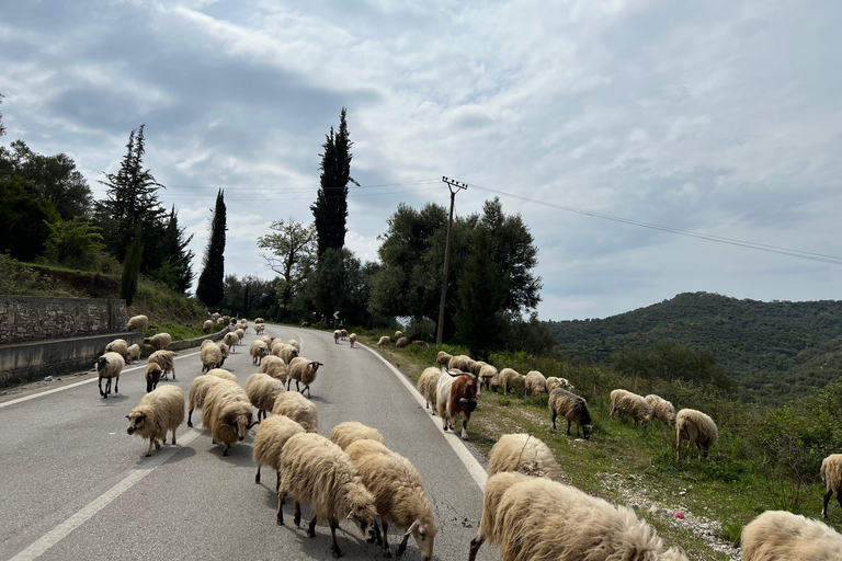 Excursión de 3 días por el Sur- Gjirokastra, Ojo Azul, HimaraExcursión de 3 días desde Tirana: Explorando la Riviera Albanesa