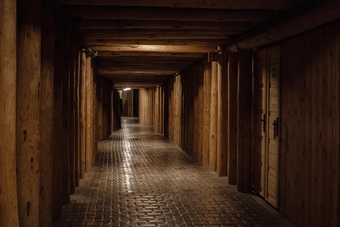 From Krakow: Wieliczka Salt Mine Guided Tour Italian Guided Tour Fast Track ticket