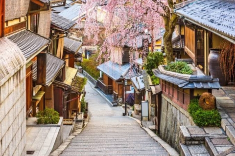 Prywatna całodniowa wycieczka do serca KiotoPrywatna wycieczka po Kioto