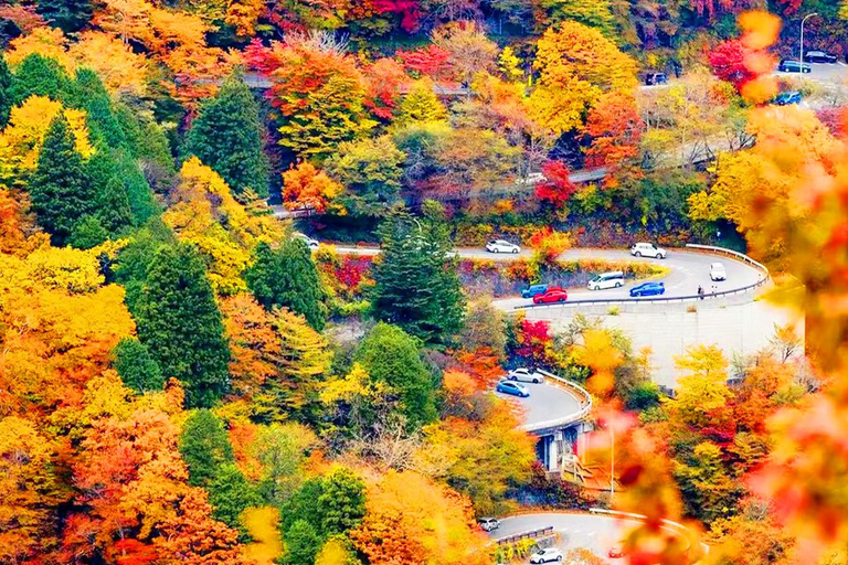 Nikko Day Trip: Toshogu Shrine & Kegon Falls & Lake Chuzenji 8:00 am JR Tokyo Station North Exit