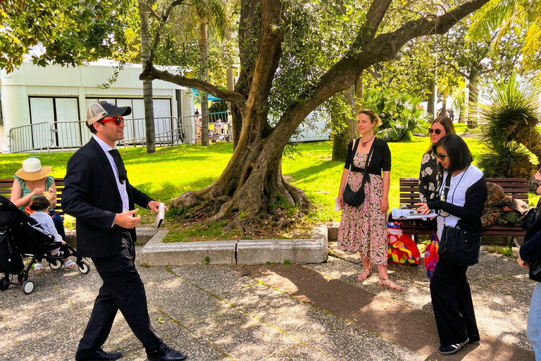 Unique Festival Palace & La Croisette tour w/ an actor-guide Premium Private Experience