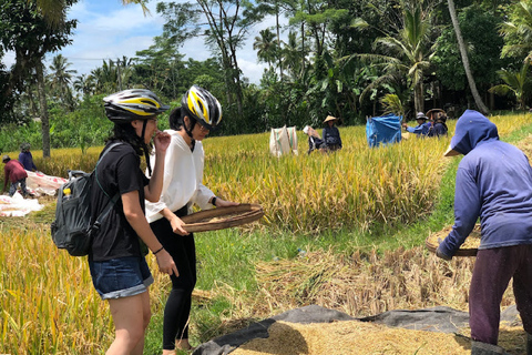 Afternoon Cycling Tour Ubud with Rice Terrace