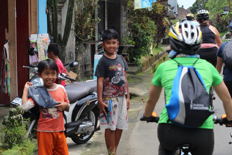 Afternoon Cycling Tour Ubud with Rice Terrace