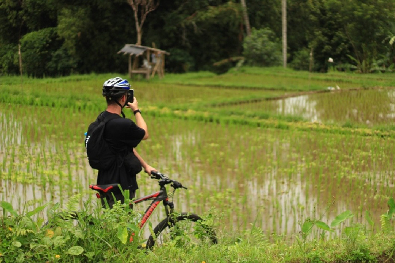 Afternoon Cycling Tour Ubud with Rice Terrace