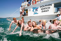 Port Stephens, Dolphin assistindo ao cruzeiro - Housity