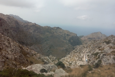 Mallorca: Inselrundfahrt mit Boot, Zug und HoteltransferTour ab Norden