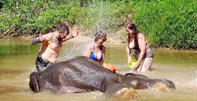 Khao Lak: tour guidato di 3 ore del santuario degli elefanti