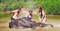 Khao Lak, olifant heiligdom geleide tour - Housity