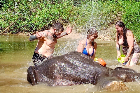 Khao Lak: Tour guiado pelo santuário de elefantesKhao Lak: excursão guiada de meio dia ao santuário de elefantes