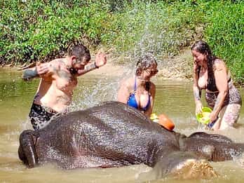 Khao Lak: Elefantenschutzgebiet - Geführte Tour