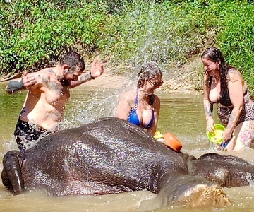 Khao Lak: Elephant Sanctuary Guided Tour
