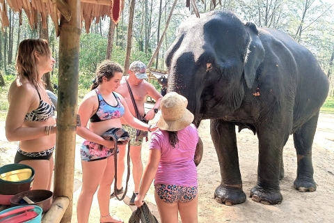 Khaolak Elephant Interaction Half Day
