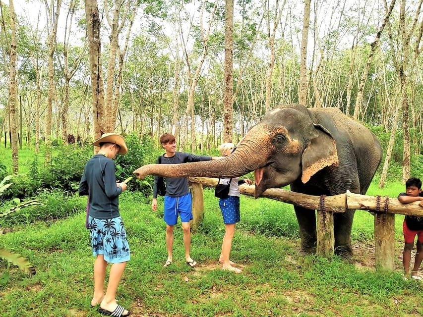 khao lak elephant tour