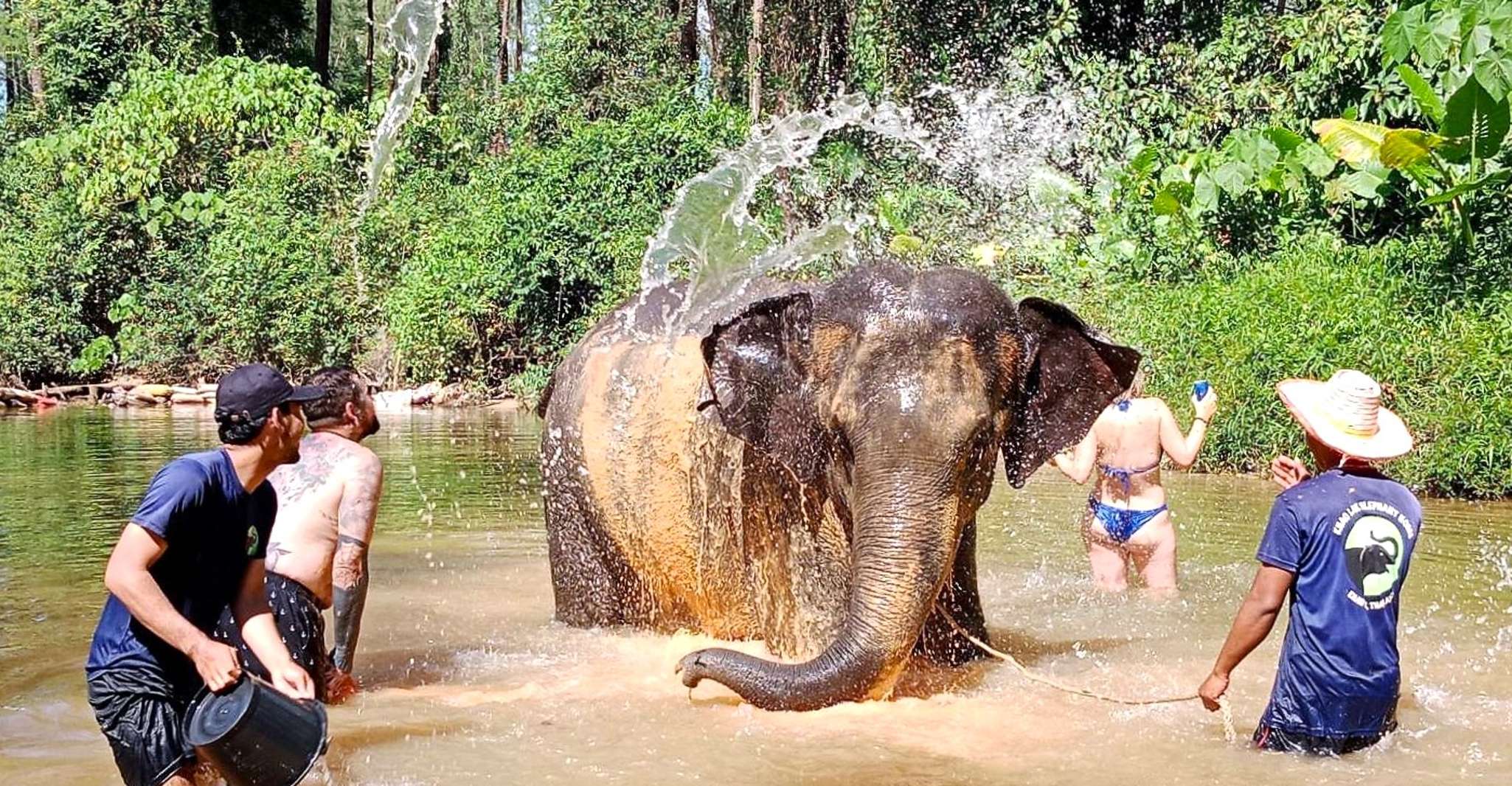 Khao Lak, Elephant Sanctuary Guided Tour - Housity