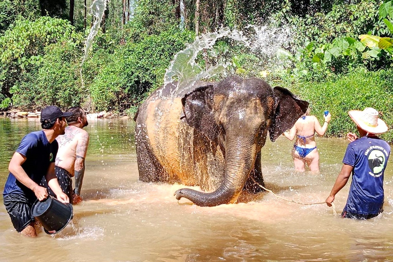 Khao Lak: Elefantreservat guidad turKhao Lak: Halvdags guidad tur till elefantreservat