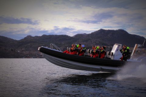 Stavanger: Båttur med sightseeing i Lysefjorden til Prekestolen