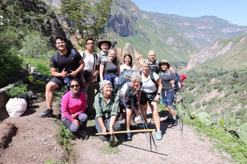 From Arequipa: 2-Day Trek Colca Canyon with Transfer to Puno