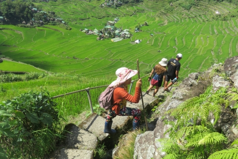 Au départ de Makati : 4 jours d'excursion dans les rizières en terrasses de Sagada et Banaue