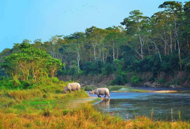 From Pokhara: Private 3-Day Chitwan Jungle Safari Tour