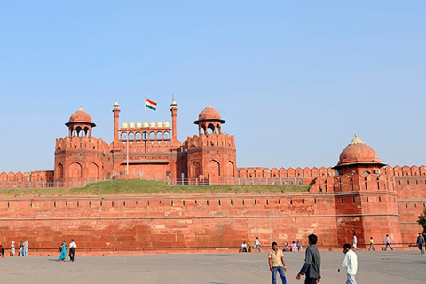 Au départ de Delhi : visite privée d'une journée de la vieille ville et de New Delhi