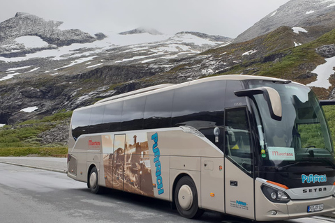 Van Pirna: begeleide dagtocht door Praag per bus