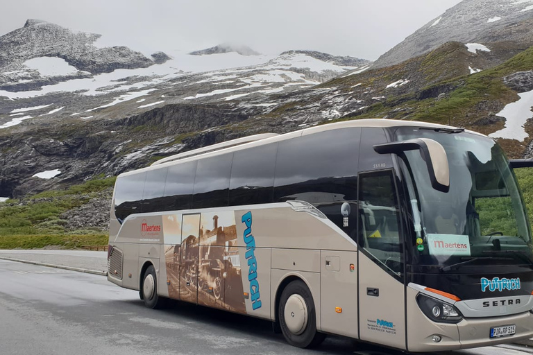 Från Pirna: Prag guidad dagsutflykt med buss