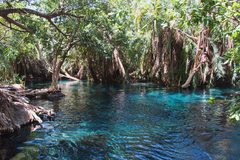 Arusha: Day Trip to Kikuletwa Hot Springs