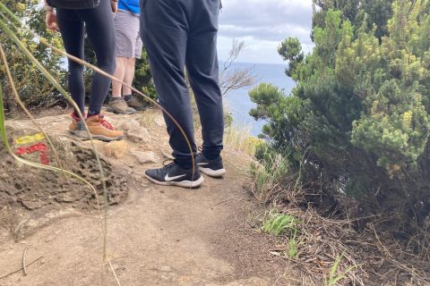 Terceira: tour escursionistico panoramico dei sentieri dell'isola con trasferimento