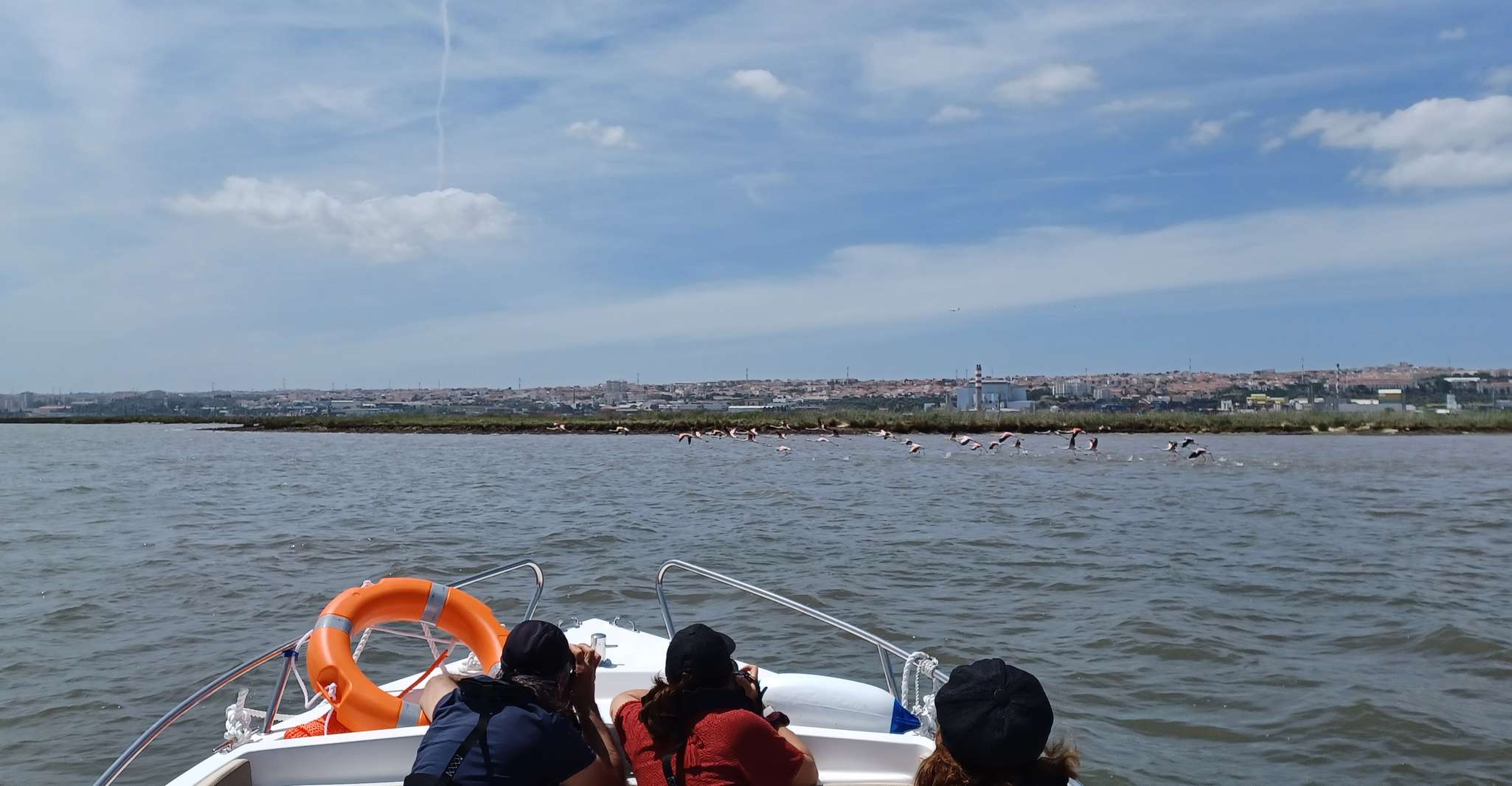 Lisbon, Tagus Estuary Nature Reserve Birdwatching Boat Tour - Housity