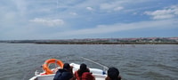 Lisbon, Tagus Estuary Nature Reserve Birdwatching Boat Tour - Housity