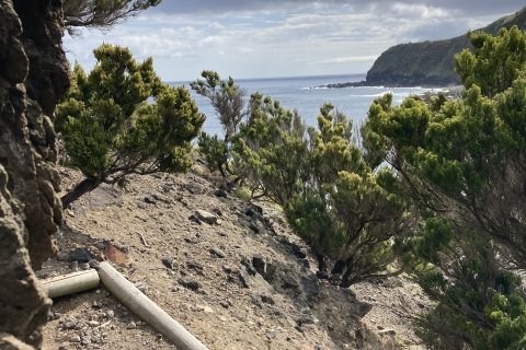 Terceira: Island Trails Scenic Hiking Tour with Transfer Rocha do Chambre Walking Trail