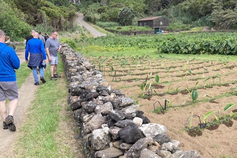 Terceira: Wandertour auf den Inselpfaden mit TransferMistérios Negros Wanderweg