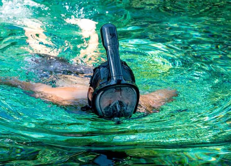 From Mexico City Day Trip to Las Estacas Natural Park GetYourGuide