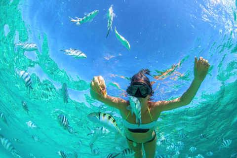 Escapada privada en catamarán a Île aux CerfsEscapada privada en catamarán a la isla de los Ciervos