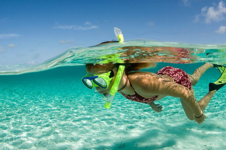 Escapada privada en catamarán a Île aux CerfsEscapada privada en catamarán a la isla de los Ciervos