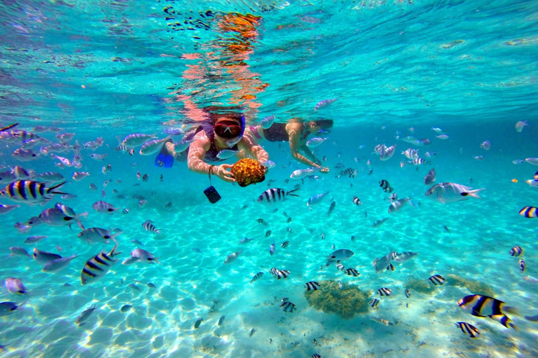 Escapada privada en catamarán a Île aux CerfsEscapada privada en catamarán a la isla de los Ciervos