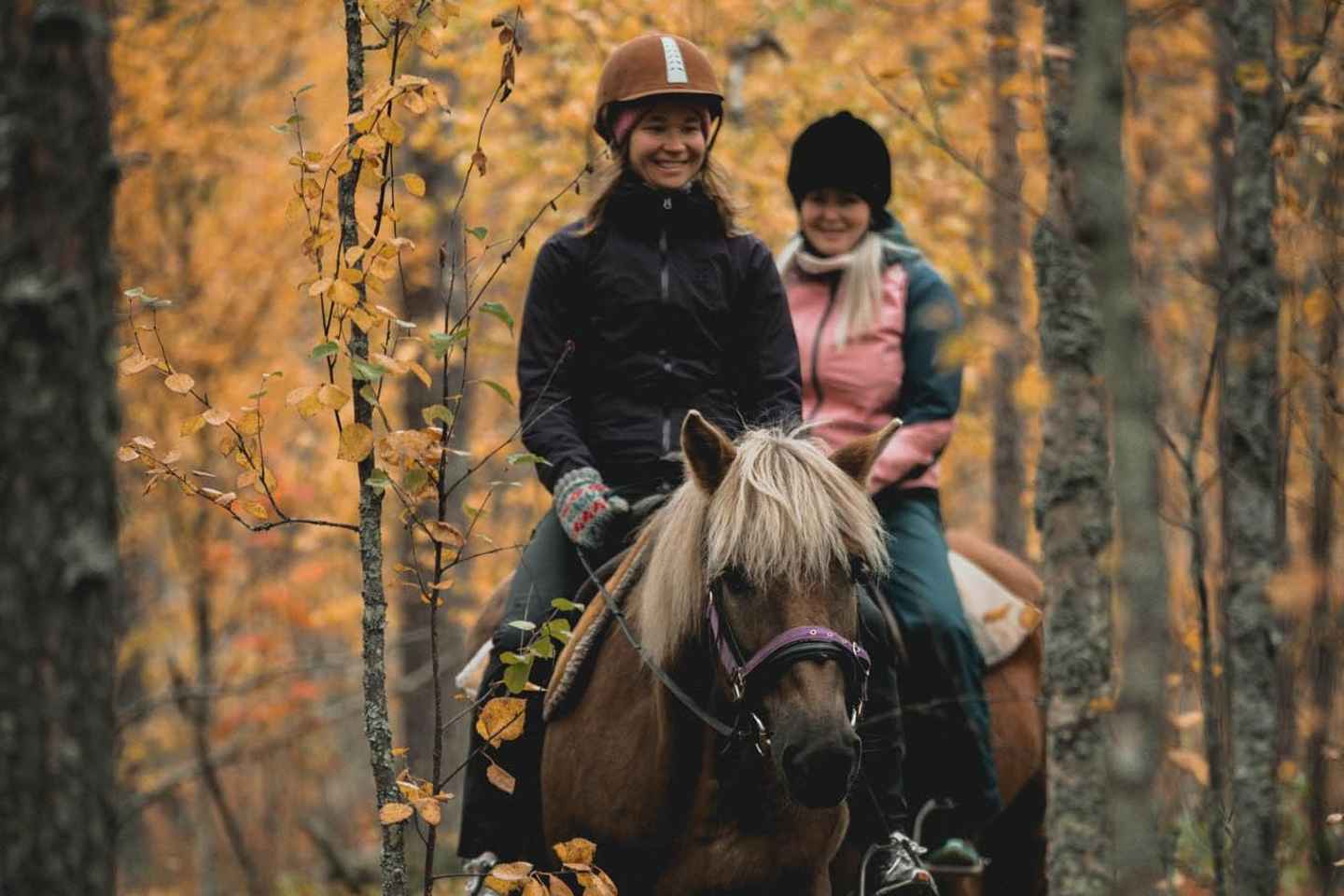 Levi: On the paths of Pine Forest – trail riding trip