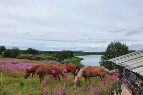 Levi: Sui sentieri della Pineta – escursione a cavallo