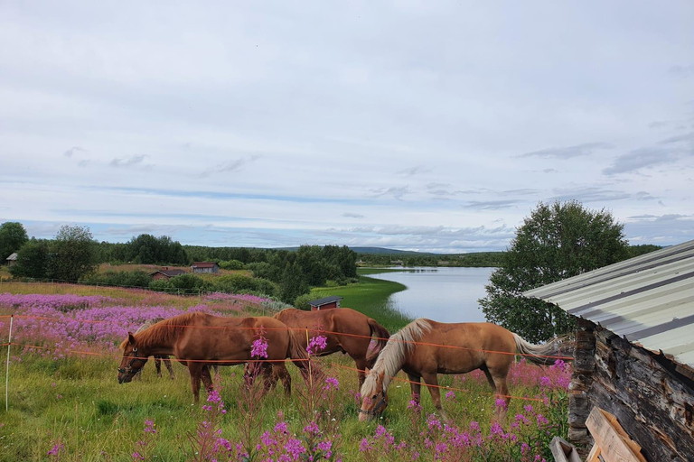Levi: Sui sentieri della Pineta – escursione a cavallo