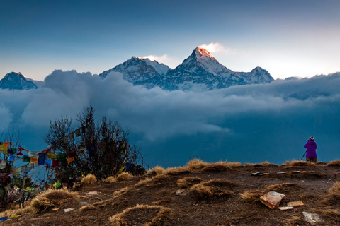 Ghorepani Poonhill Trek In Nepal