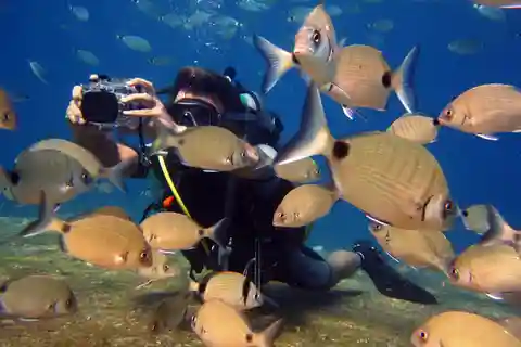 Fethiye : Excursion de plongée sous-marine à Ölüdeniz